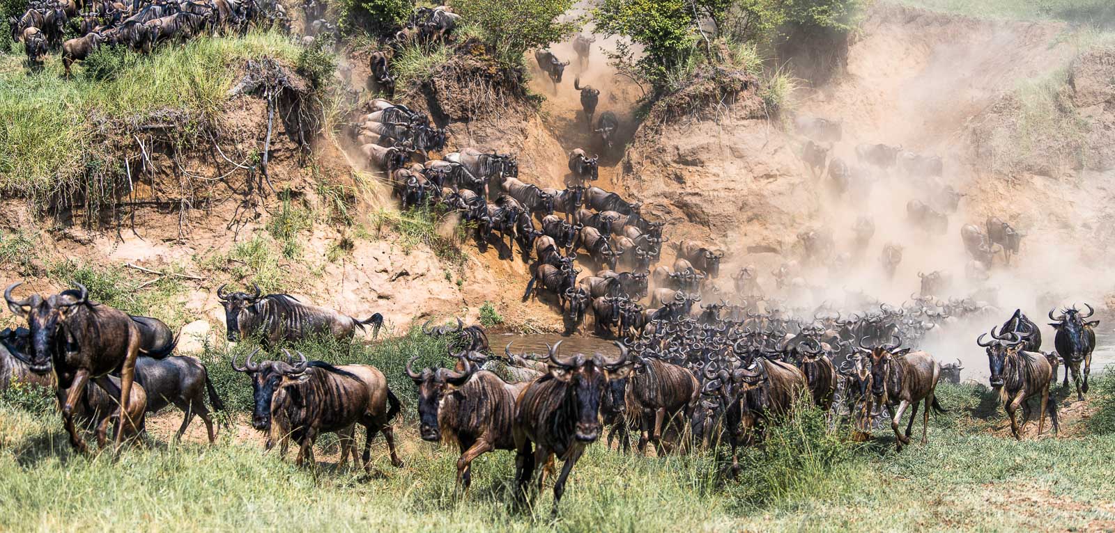 How long does the Great Migration last?