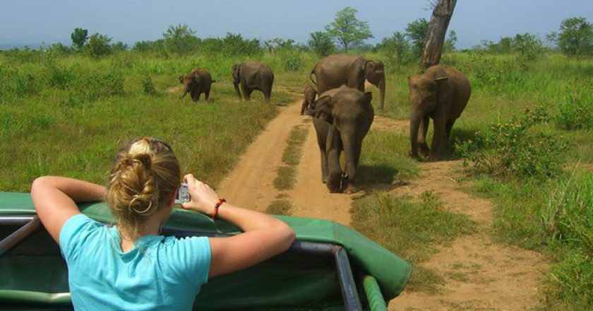 What is the best time to visit Murchison Falls National Park?