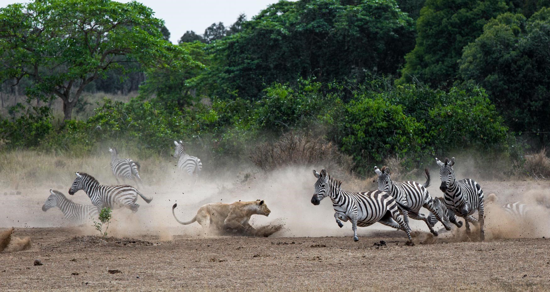 Which part of Masai Mara is best?