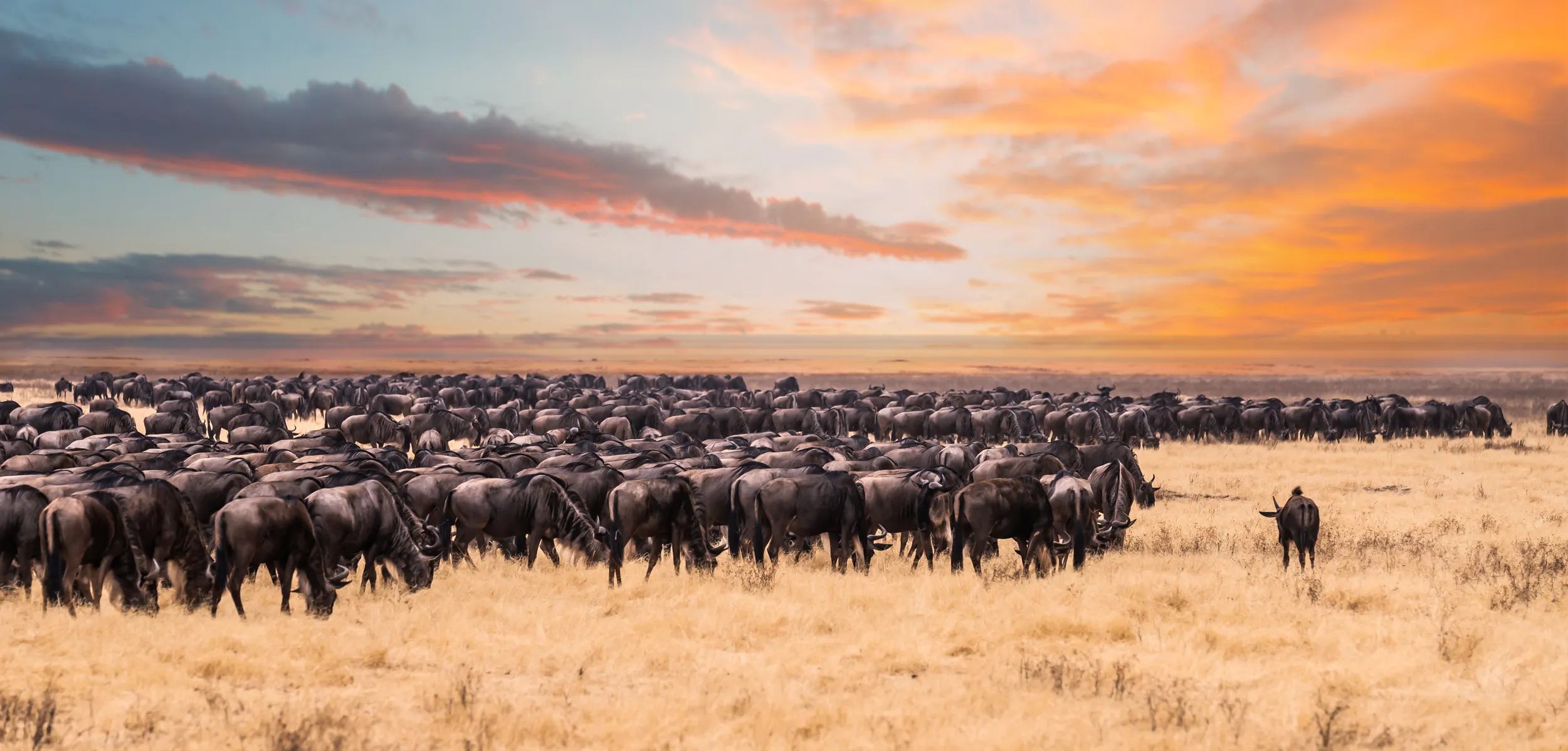 Which site in Tanzania is famous for its annual migration of over 1.5 million wildebeest and 250000 zebras?