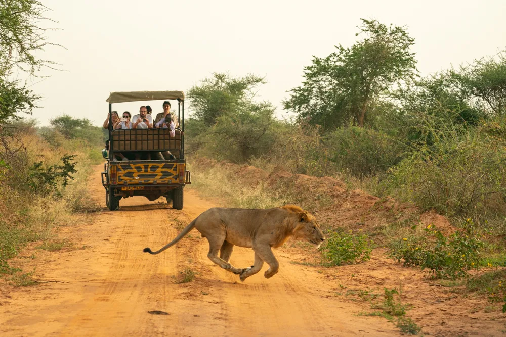 How much is a game drive in Kidepo National Park?