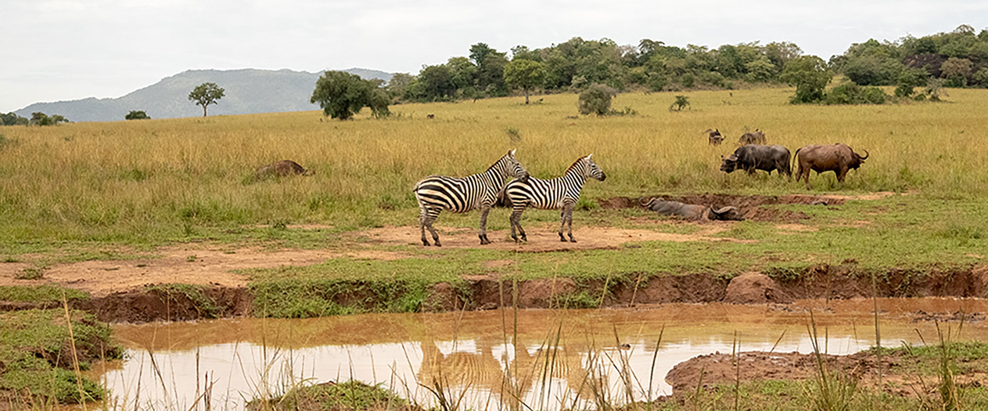 What is Kidepo Valley National Park known for?