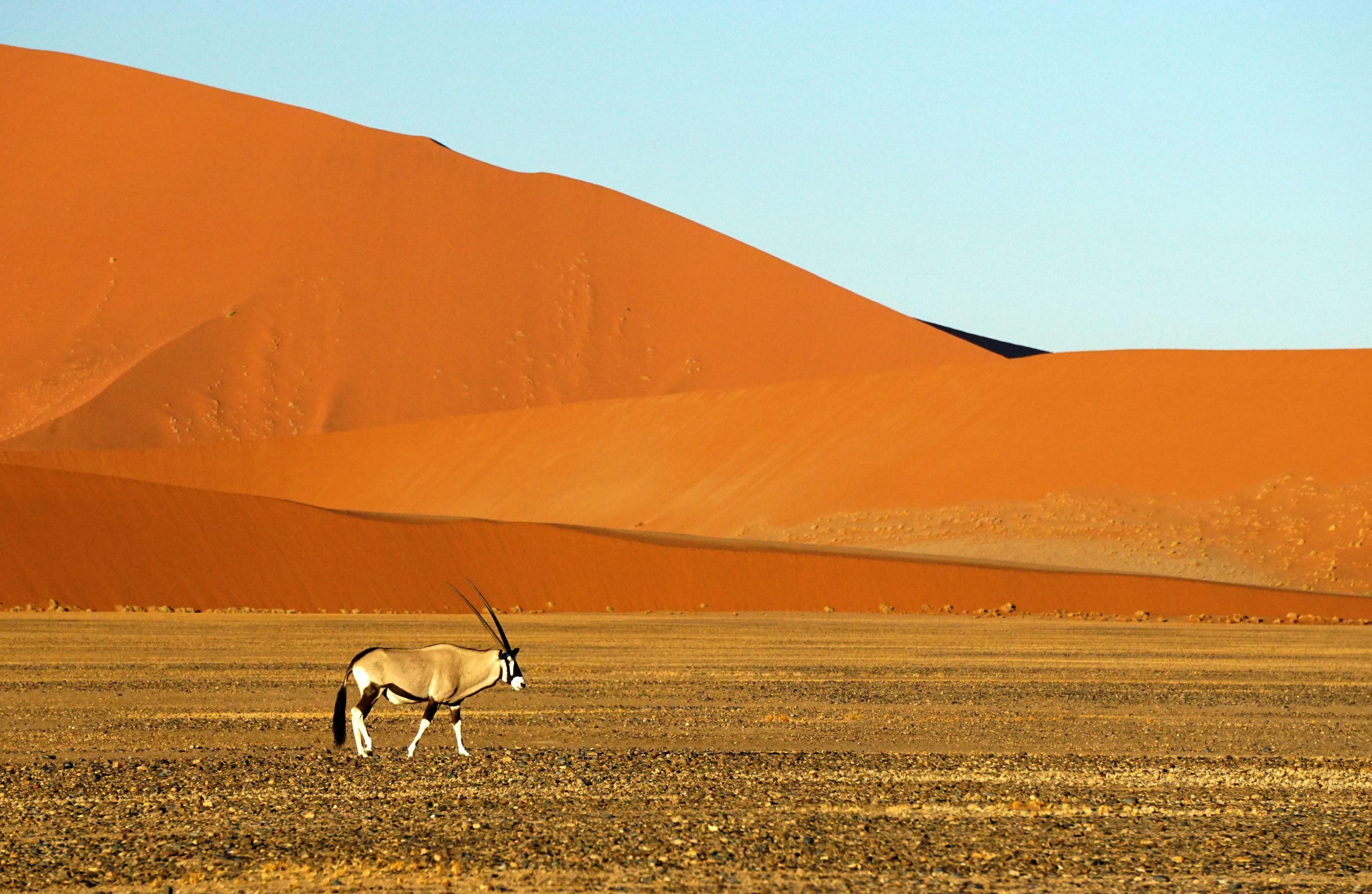 What is the biggest national park in Africa?