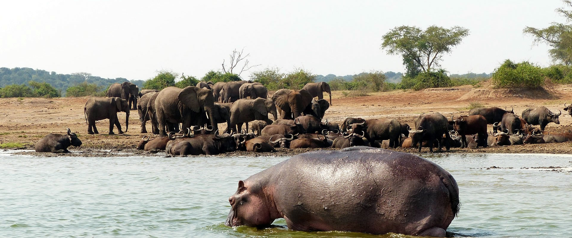 What is the most visited national park in Uganda?