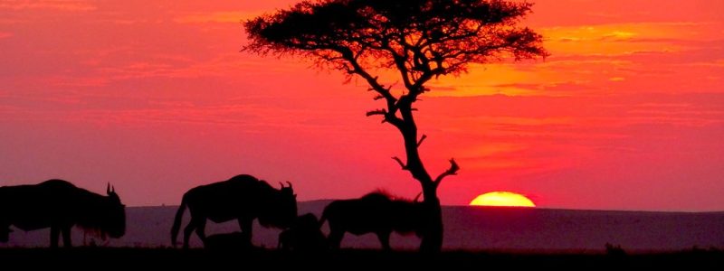 Amboseli National Park Climate and Weather